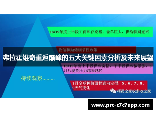 弗拉霍维奇重返巅峰的五大关键因素分析及未来展望 弗拉霍维奇重返巅峰的五大关键因素分析及未来展望