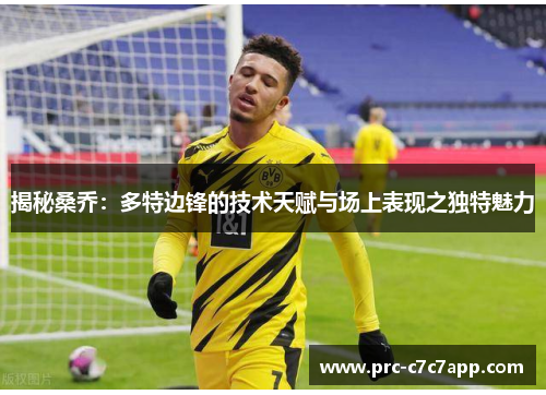 揭秘桑乔：多特边锋的技术天赋与场上表现之独特魅力