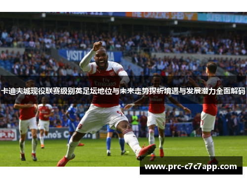 卡迪夫城现役联赛级别英足坛地位与未来走势探析境遇与发展潜力全面解码 卡迪夫城现役联赛级别英足坛地位与未来走势探析境遇与发展潜力全面解码
