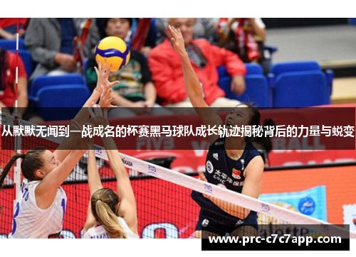 从默默无闻到一战成名的杯赛黑马球队成长轨迹揭秘背后的力量与蜕变