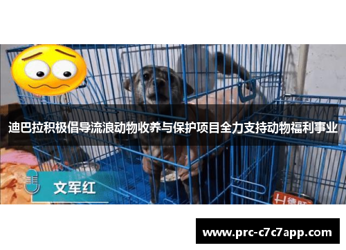 迪巴拉积极倡导流浪动物收养与保护项目全力支持动物福利事业