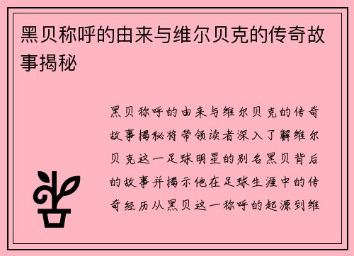 黑贝称呼的由来与维尔贝克的传奇故事揭秘