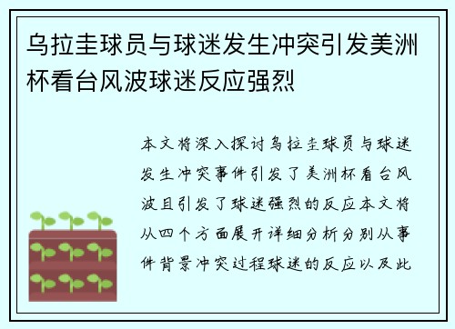 乌拉圭球员与球迷发生冲突引发美洲杯看台风波球迷反应强烈